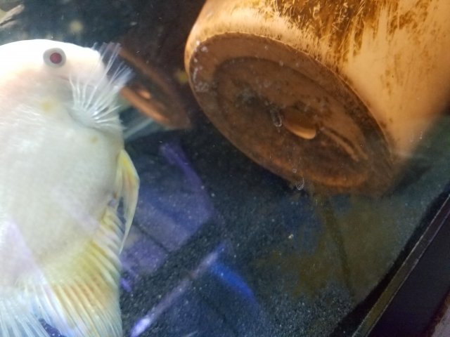 20170718_142718.jpg