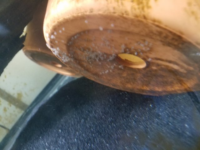 20170718_174350.jpg