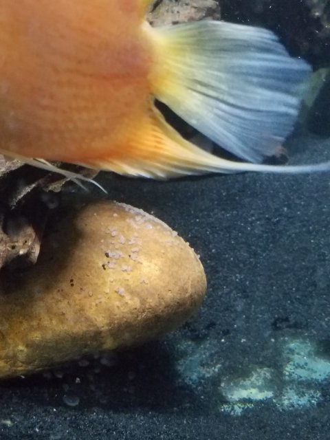 20170727_212746.jpg
