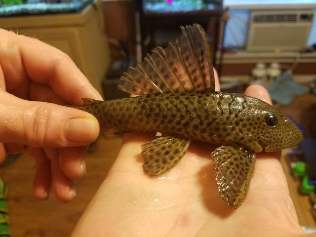 20170729_182639.jpg