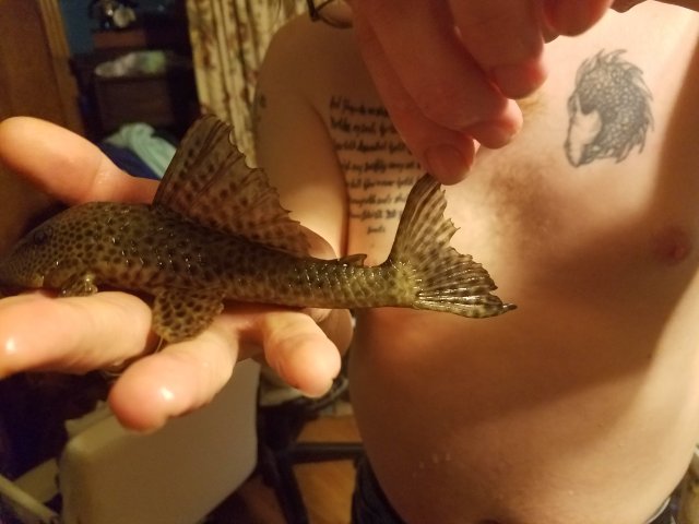 20170729_182716.jpg