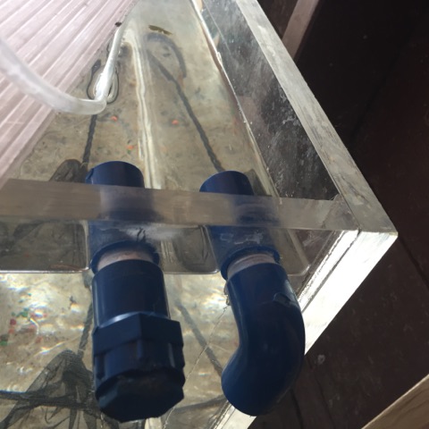 sump.jpg