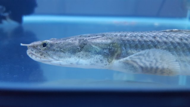 20170731_214221.jpg 20170731_214221.jpg