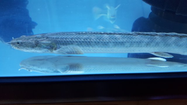 20170731_214216.jpg 20170731_214216.jpg