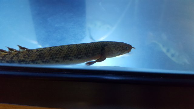 20170731_213626.jpg