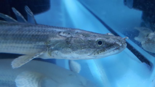 20170731_213410.jpg
