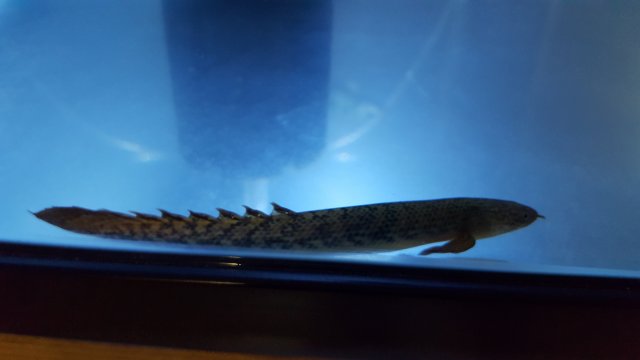 20170731_213629.jpg