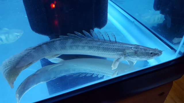 20170731_213405.jpg