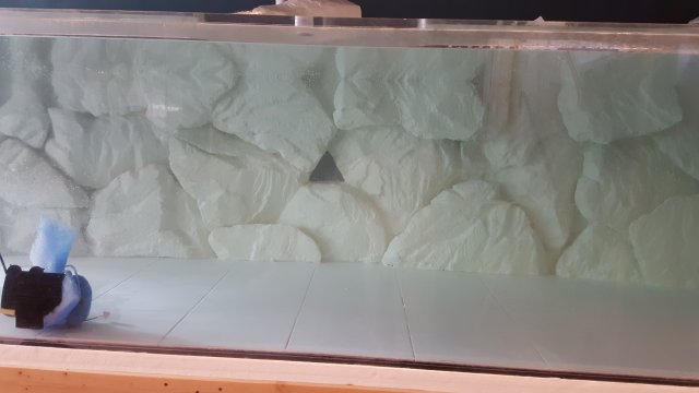 20170312_112043.jpg
