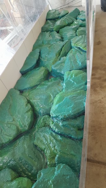 20170703_091623.jpg