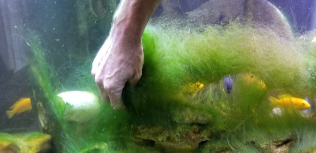 20170730_090731.jpg