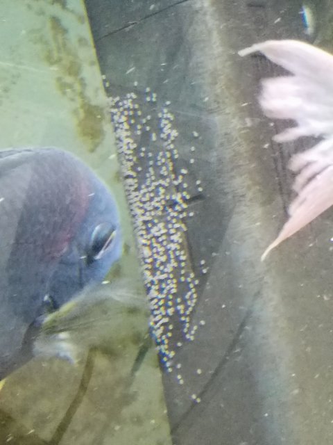 20170802_183607.jpg