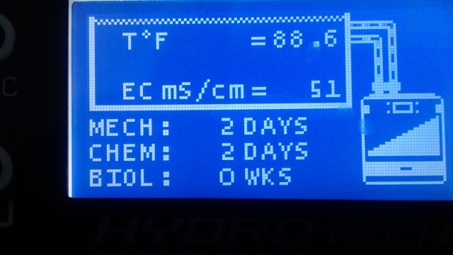 Temp.jpg