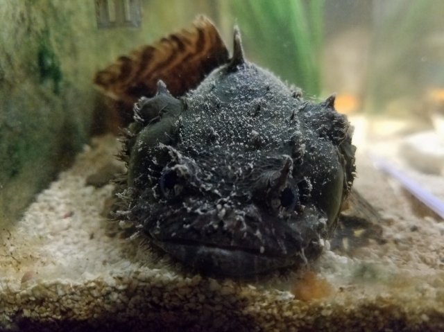 20170803_224013.jpg