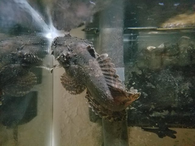20170804_105444.jpg