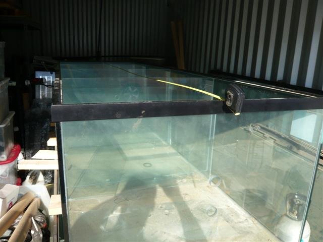 10 foot tank for sale 4(Small).jpg 10 foot tank for sale 4(Small).jpg
