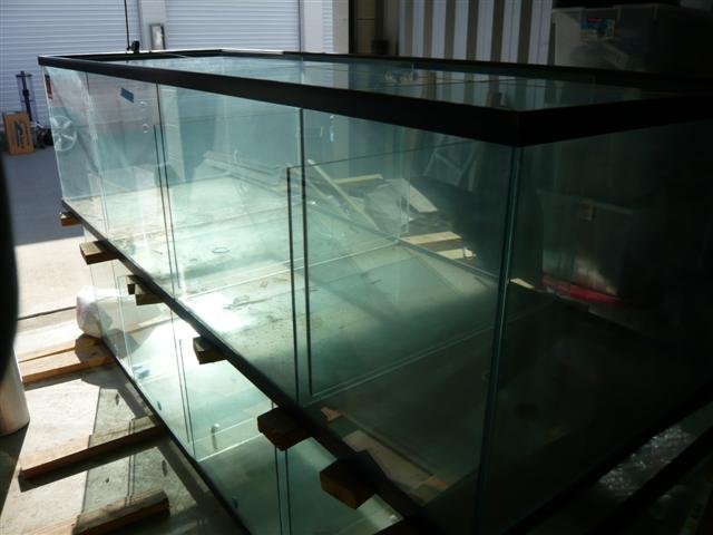 10 foot tank for sale 6 (Small).jpg