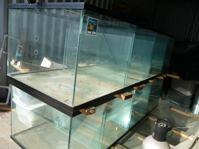 10 foot tank for sale 7 (Small).jpg 10 foot tank for sale 7 (Small).jpg