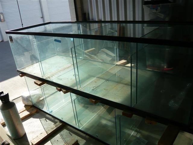 10 foot tank for sale 8 (Small).jpg 10 foot tank for sale 8 (Small).jpg