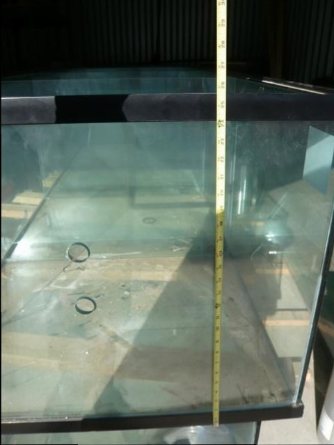10 foot tank for sale 10 (Small).jpg