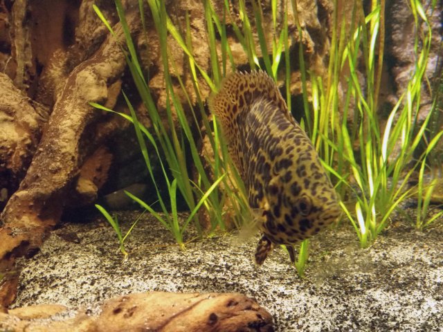 2017-08-07 22.37.01.jpg