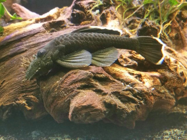 2017-08-07 22.34.35.jpg