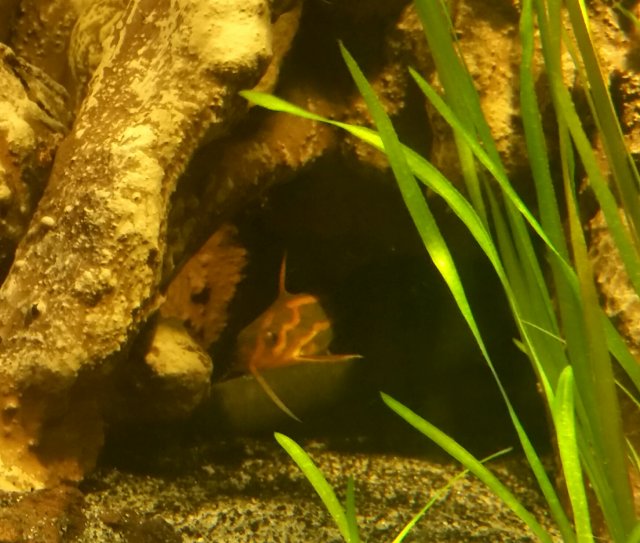 2017-08-07 22.32.29.jpg