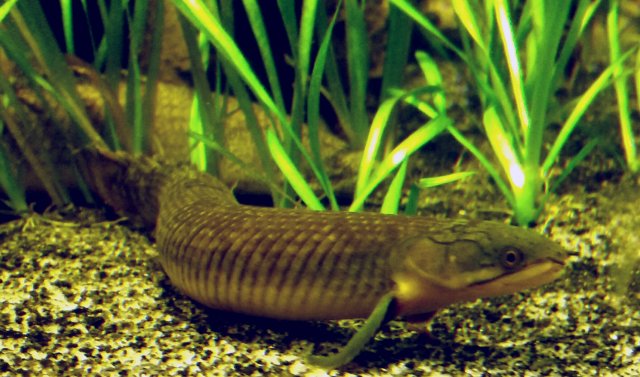 2017-08-07 16.22.22.jpg