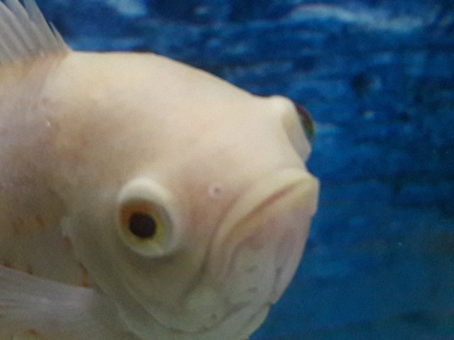 20170731_143219.jpg