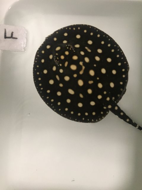 IMG_1094.JPG IMG_1094.JPG