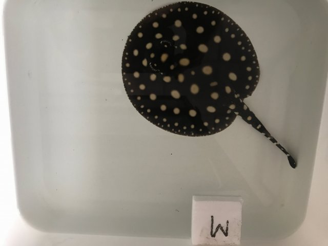 RHQE7252.JPG RHQE7252.JPG