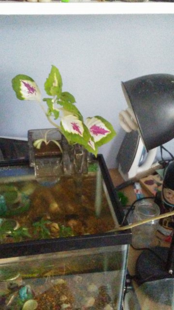 0808171500b.jpg
