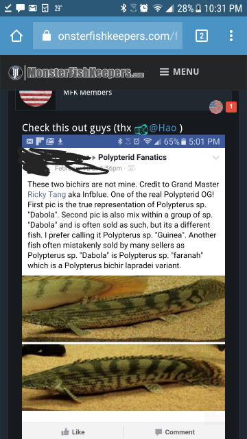20170808_213622.png