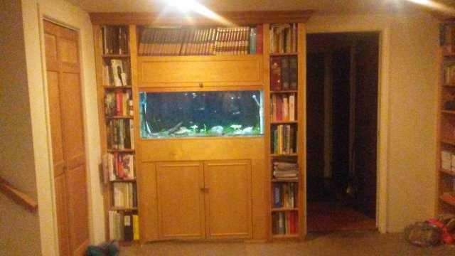 0810170032.jpg