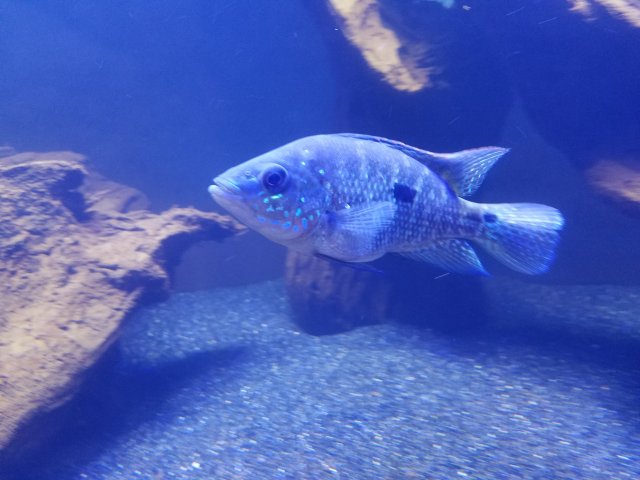 20170811_082013.jpg 20170811_082013.jpg