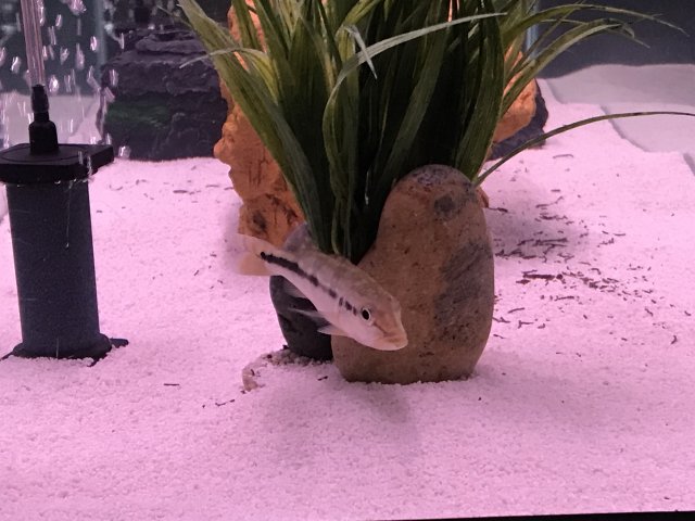 IMG_4317.JPG IMG_4317.JPG