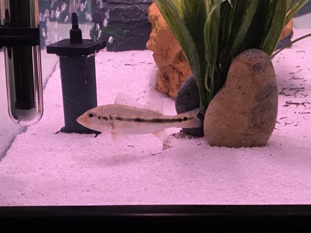 IMG_4320.JPG IMG_4320.JPG