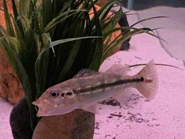 IMG_4324.JPG IMG_4324.JPG