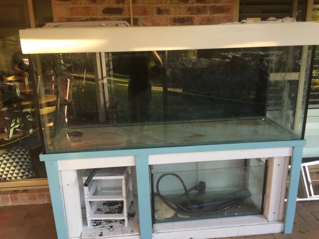 IMG_3846.JPG IMG_3846.JPG