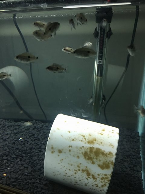 IMG_2866.JPG IMG_2866.JPG