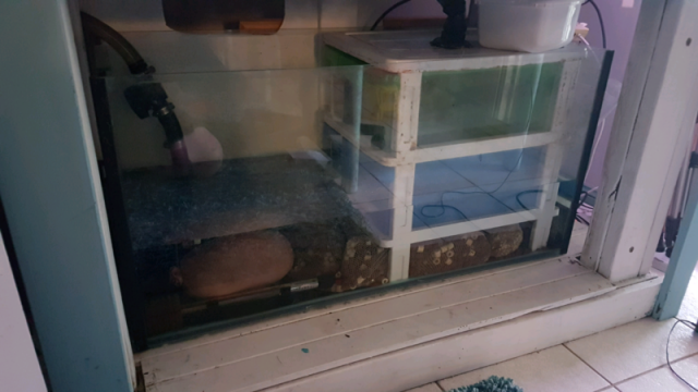 $_20 (2).PNG $_20 (2).PNG