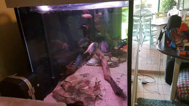 $_20 (1).PNG $_20 (1).PNG