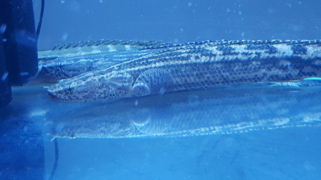 20170813_182416.jpg