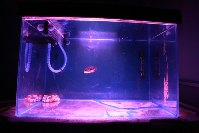 IMG-20170807-WA0033.jpg IMG-20170807-WA0033.jpg