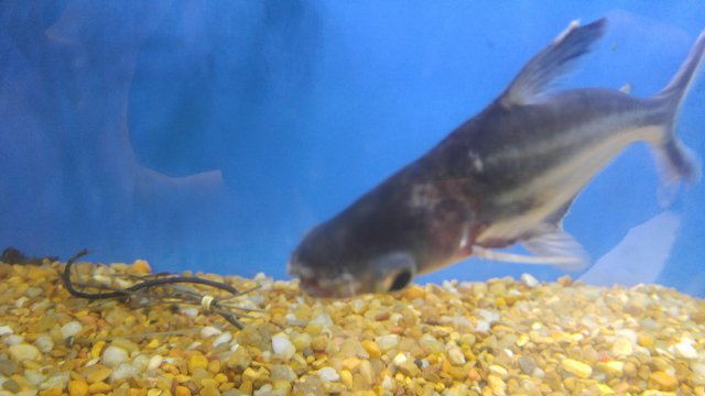 20170813_182859.jpg