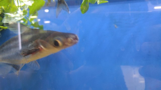20170813_182847.jpg