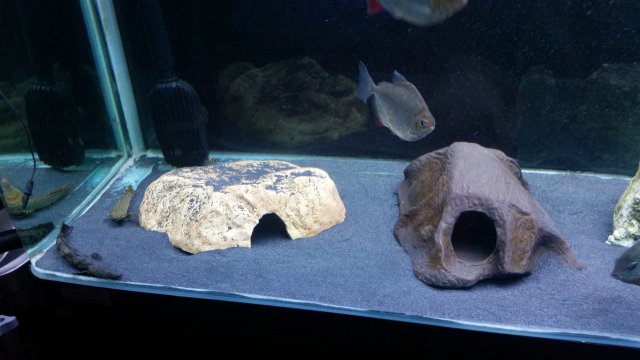 20170814_211208.jpg