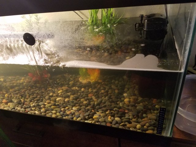 20170815_175337.jpg 20170815_175337.jpg