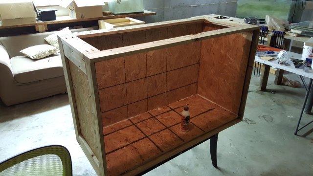 20170717_172817.jpg
