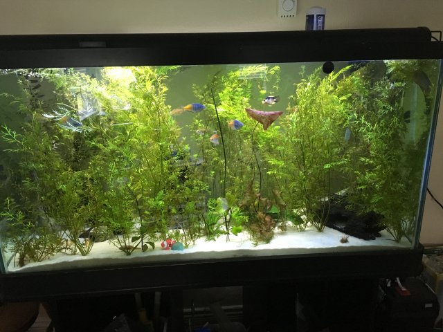 IMG_6819.JPG IMG_6819.JPG